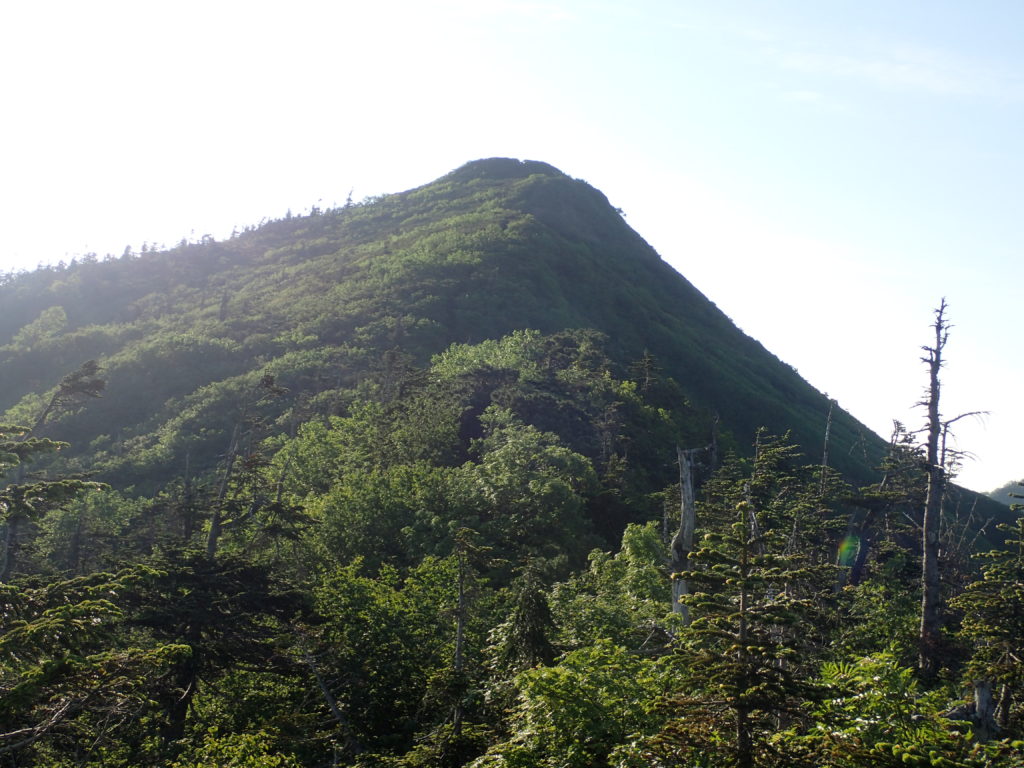 須原尾根ルートから見る武尊山山頂方向