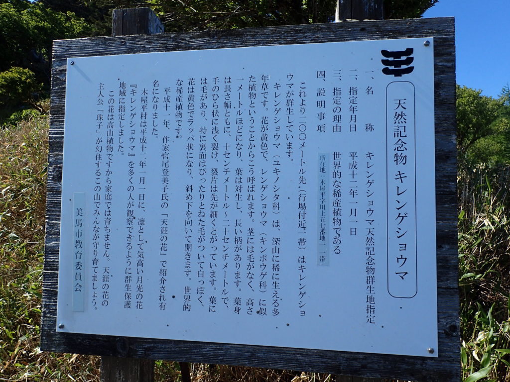 剣山にある天然記念物であるキレンゲショウマについての説明