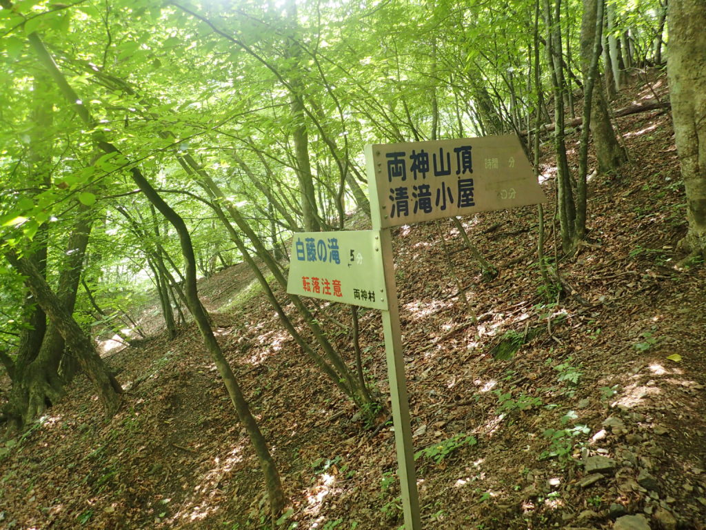 両神山登山道の白藤の滝への分岐