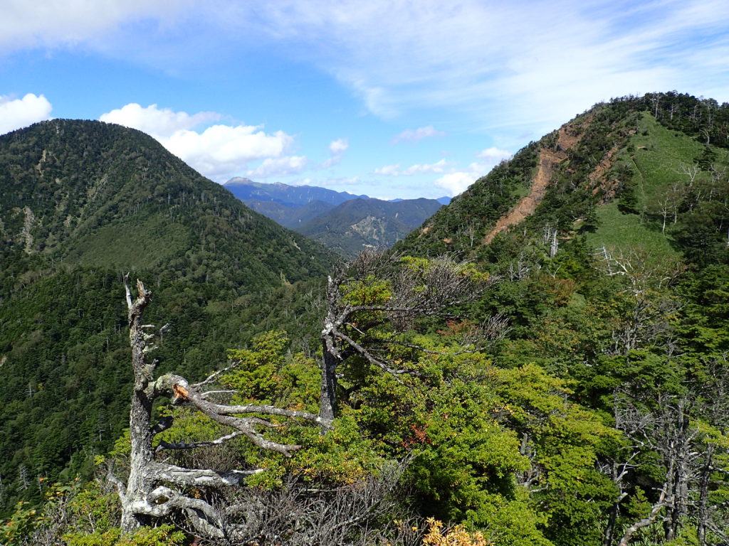 六林班峠へ向かう登山道から見る皇海山と鋸山