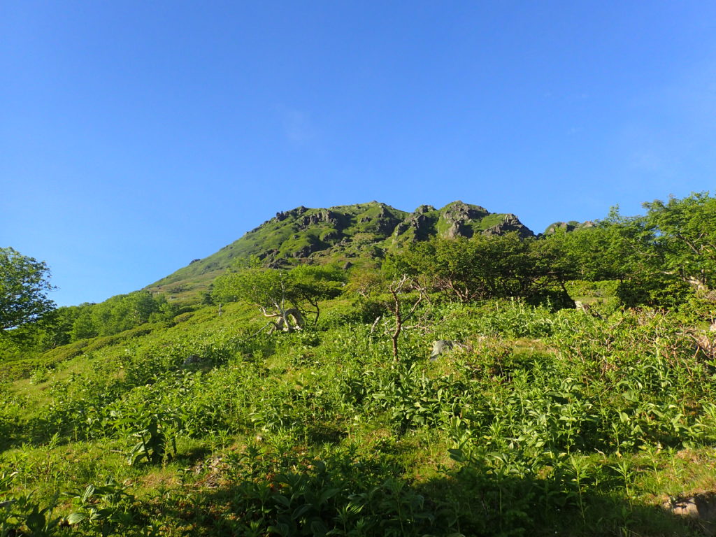 菅沼登山口ルートの登山道から見上げる日光白根山の山容