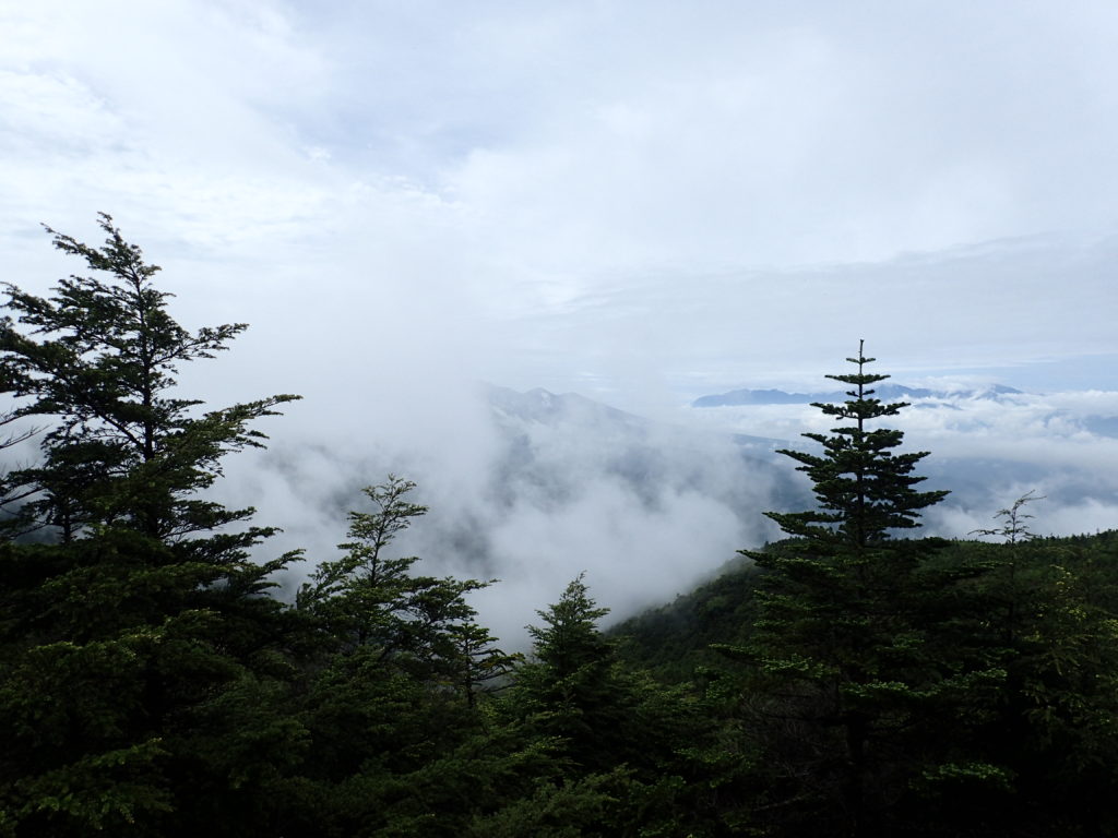 蓼科山女乃神茶屋ルート登山道から見る雲