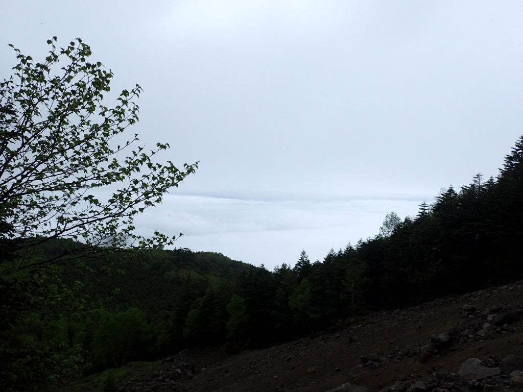 蓼科山女乃神茶屋ルート登山道から見る雲海