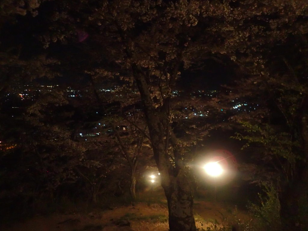 光城山での夜桜花見登山
