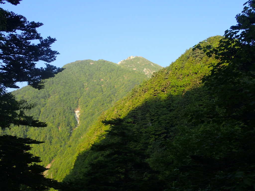 甲斐駒ヶ岳黒戸尾根ルートから見る山頂方面