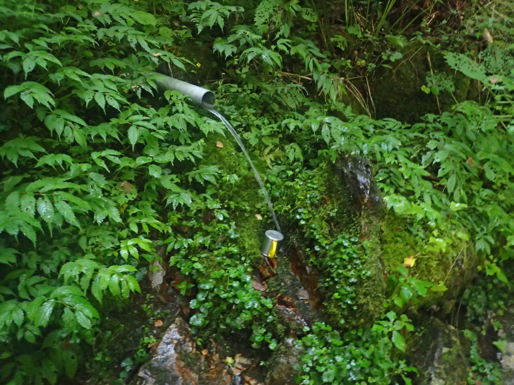 木曽駒ヶ岳の桂小場ルートのブドウの泉