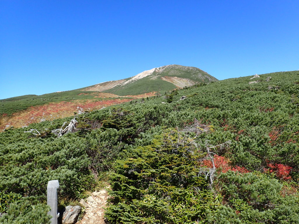 トンビ岩コースから見上げる白山