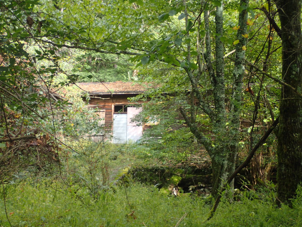 西沢渡の造林小屋跡