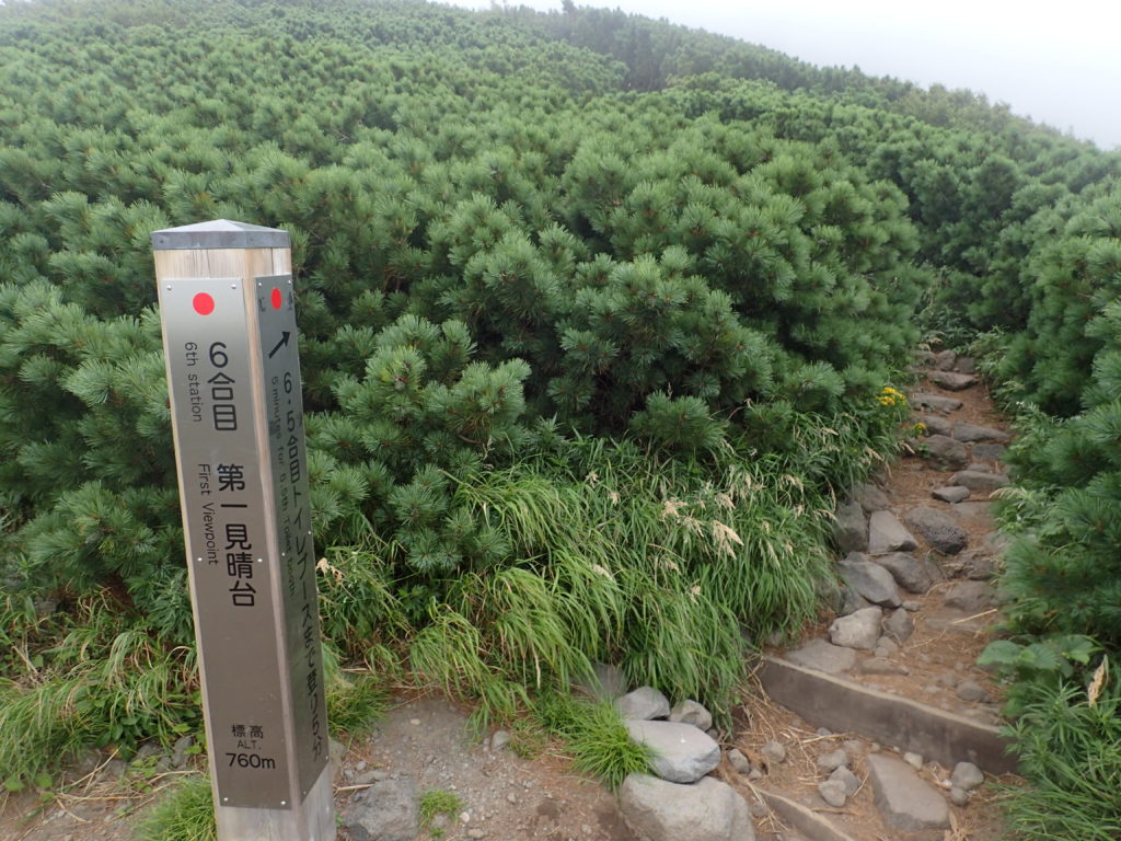 利尻山の鴛泊コース登山道の6合目第一見晴台
