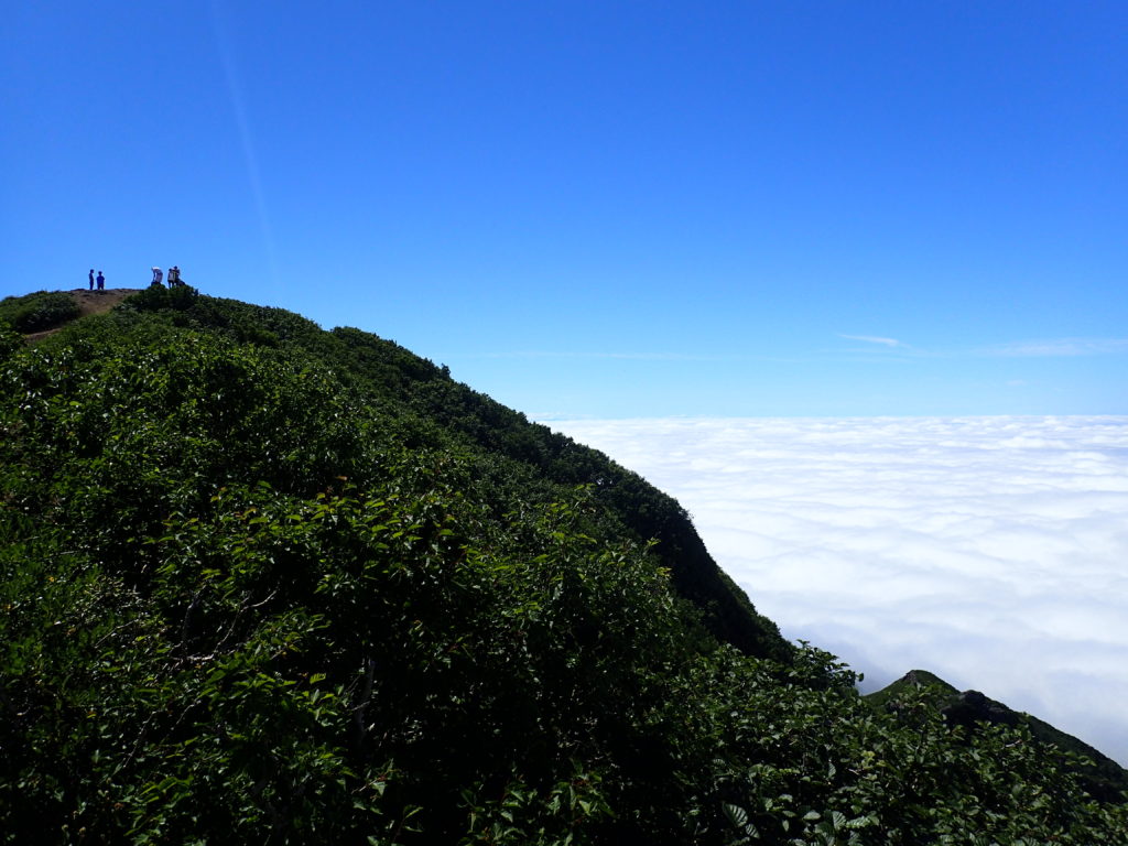 斜里岳山頂と雲海