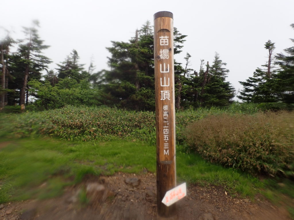 ひと夏での日本百名山全山日帰り登山で撮影した苗場山の山頂標