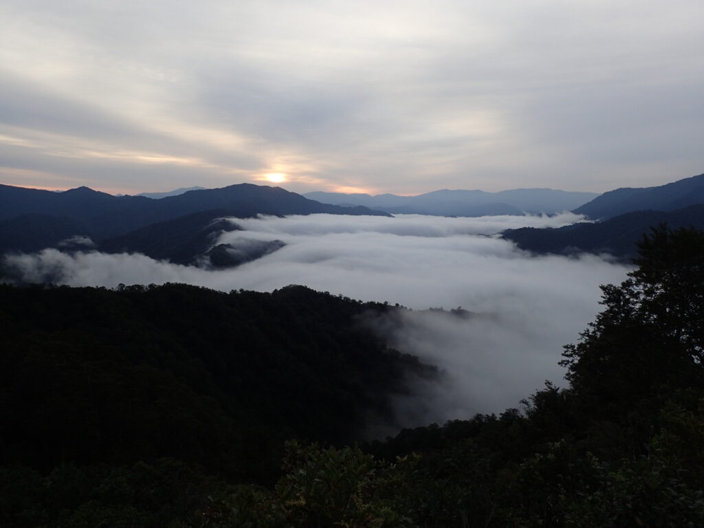日本百名山の越後駒ヶ岳登山をした時に撮影した名物の滝雲