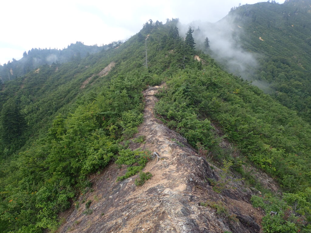 日本百名山の平ヶ岳登山をしたときに撮影した岩の露出した登山道