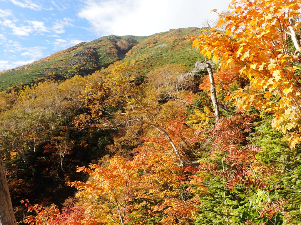 日本百名山の常念岳登山をしたときに撮影した紅葉と常念岳