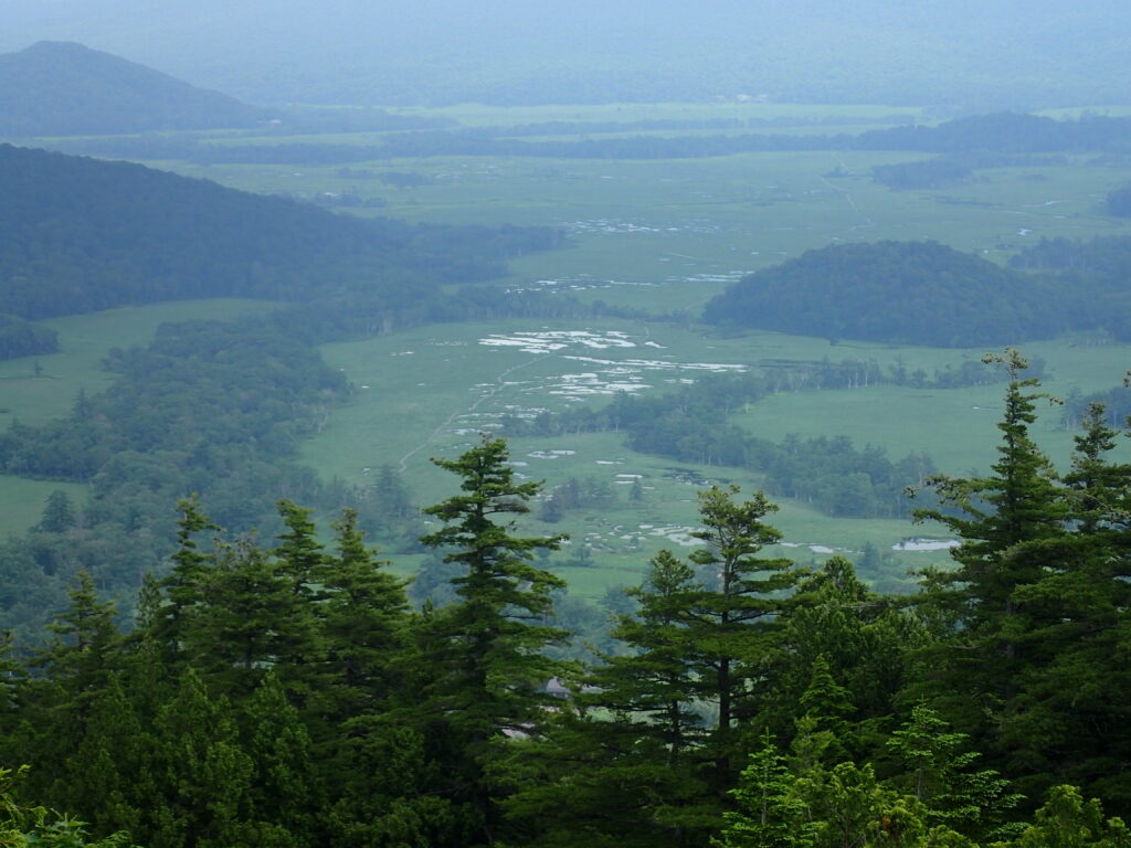 日本百名山の至仏山を登山した時に撮影した尾瀬ヶ原の池塘群