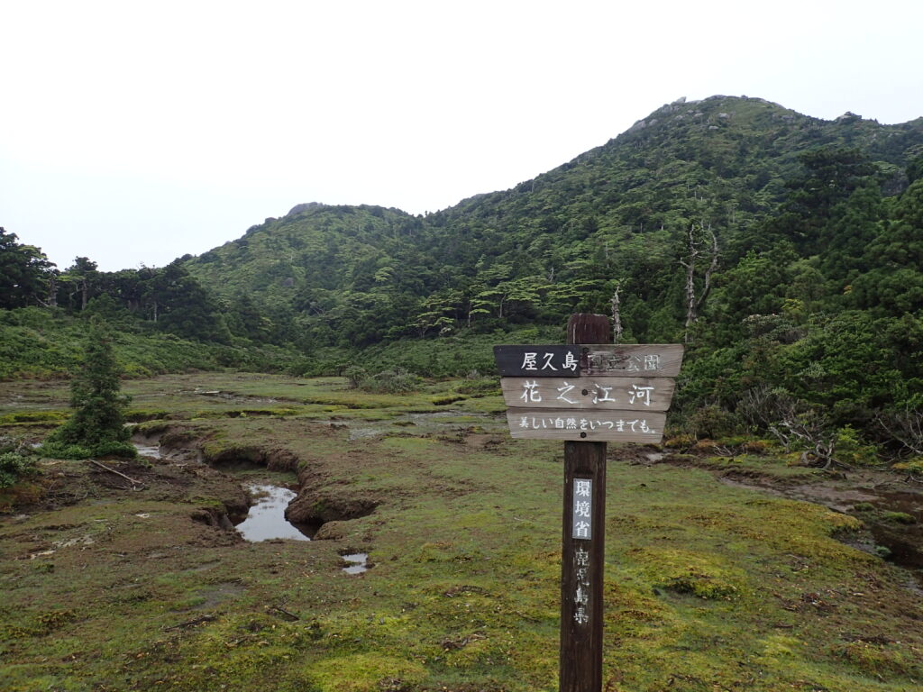 九州にある日本百名山の宮之浦岳を登山した時に撮影した花之江河