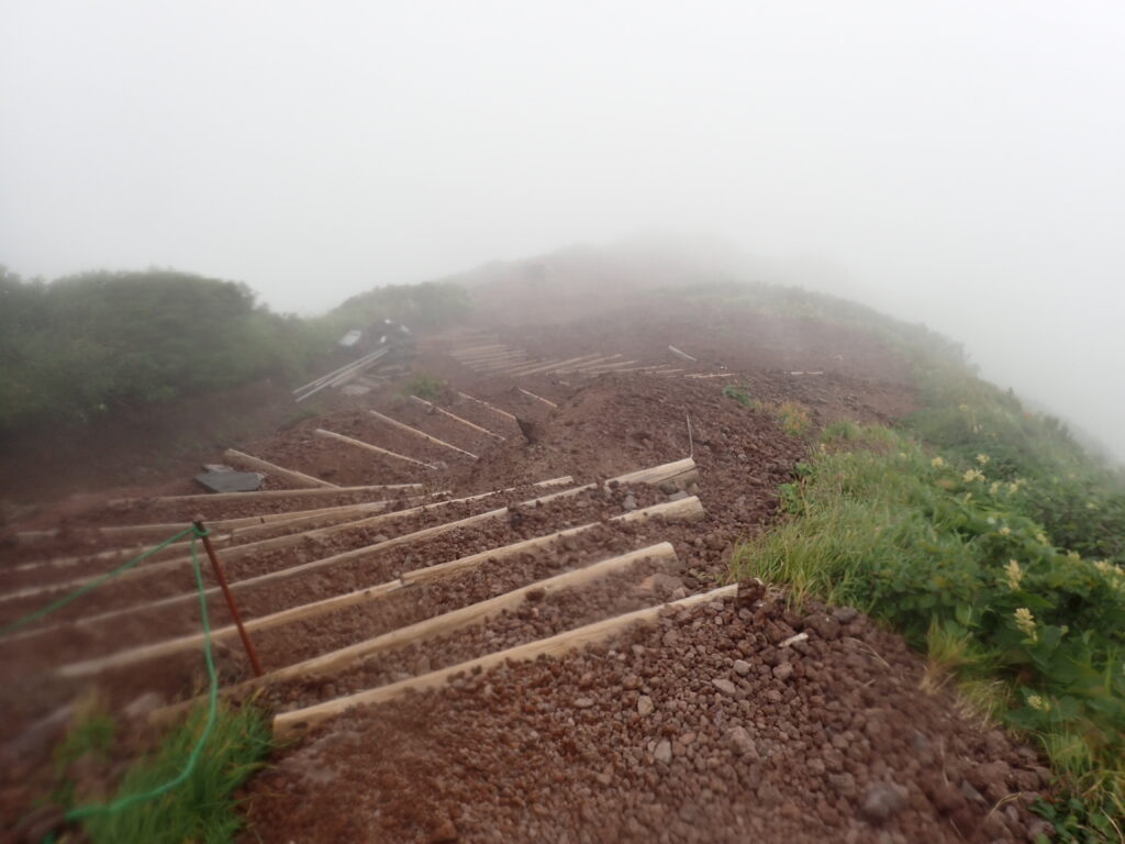 日本百名山の利尻山を登山した時に撮影した鴛泊ルートの登山道