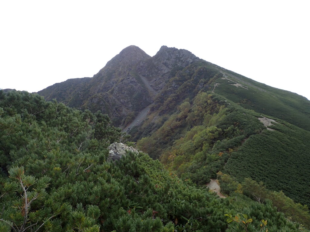 日本百名山で南アルプスの塩見岳を登山した時にオリンパスの防水デジタルカメラタフで撮影した双耳峰の塩見岳