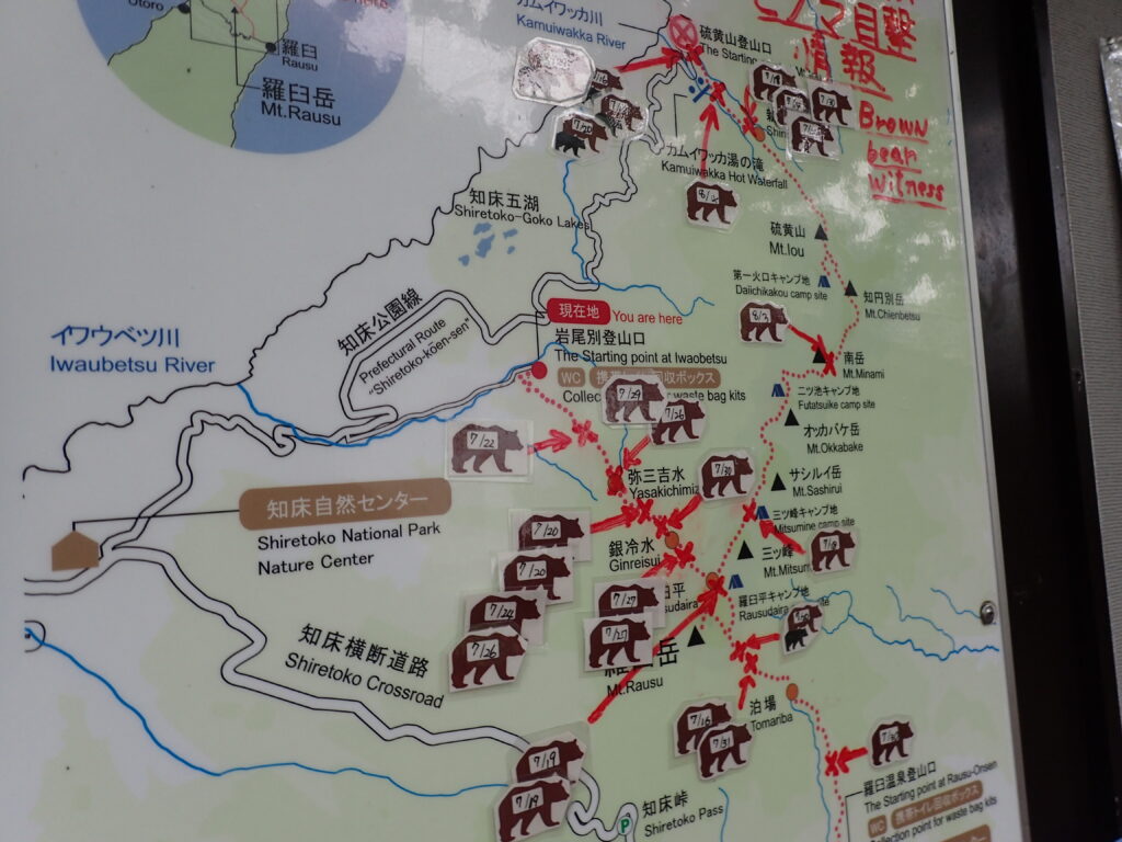 日本百名山の羅臼岳岳登山をした時に撮影したヒグマ目撃情報