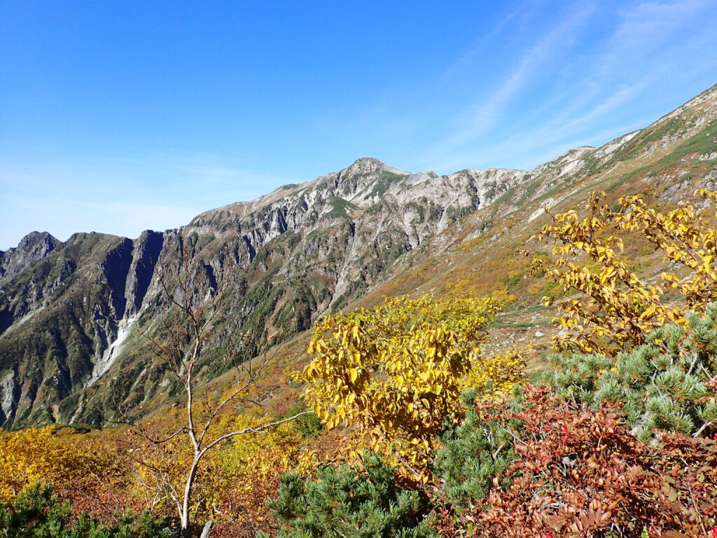 日本百名山で北アルプスの笠ヶ岳を登山した時にオリンパスの防水デジタルカメラタフで撮影した黄葉の向こうに笠ヶ岳