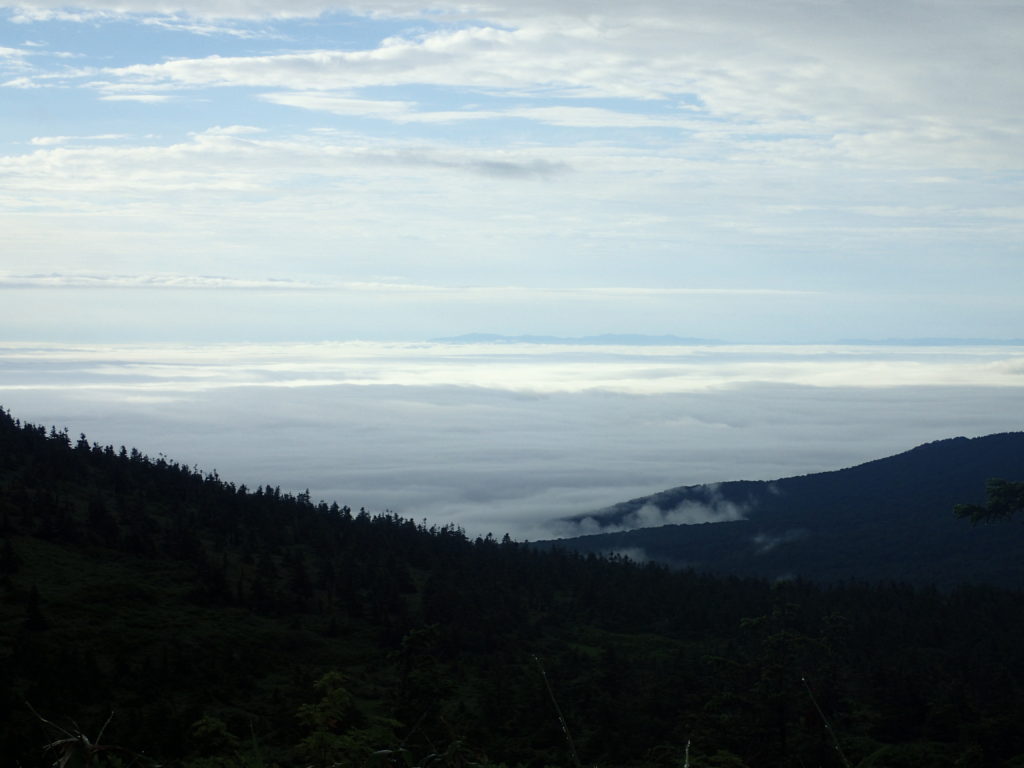 八甲田山から見る雲海