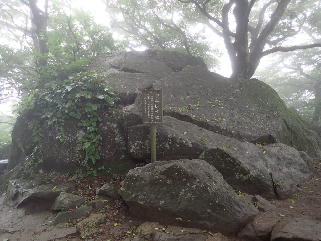 筑波山のセキレイ石