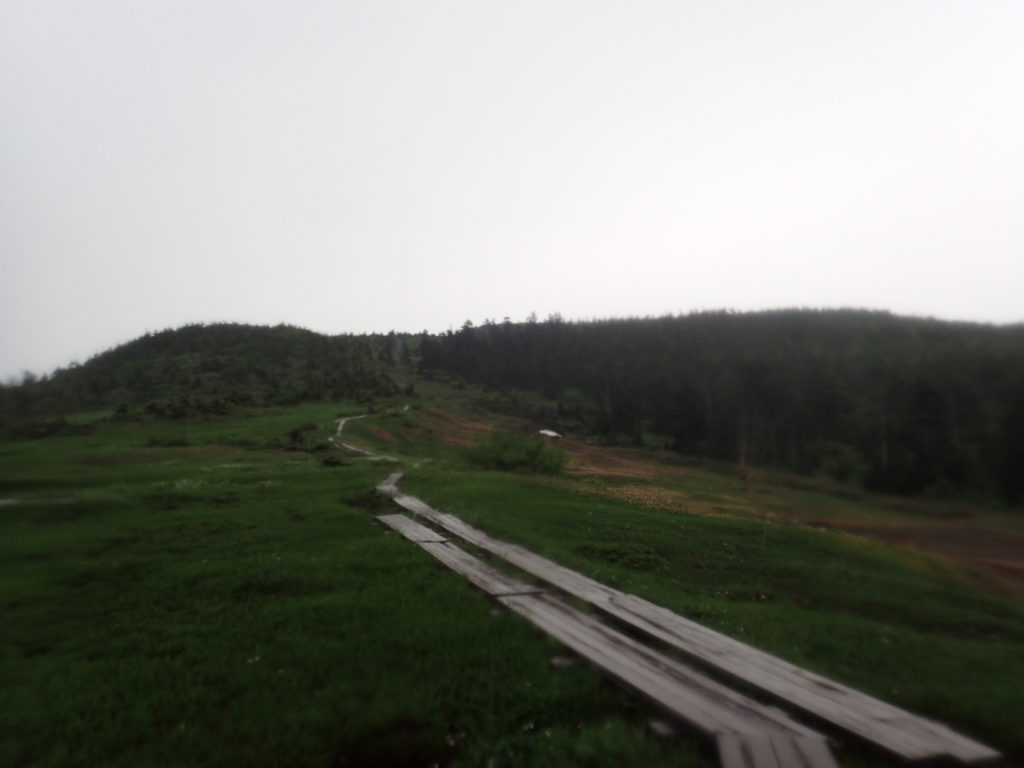 苗場山の高層湿原と木道