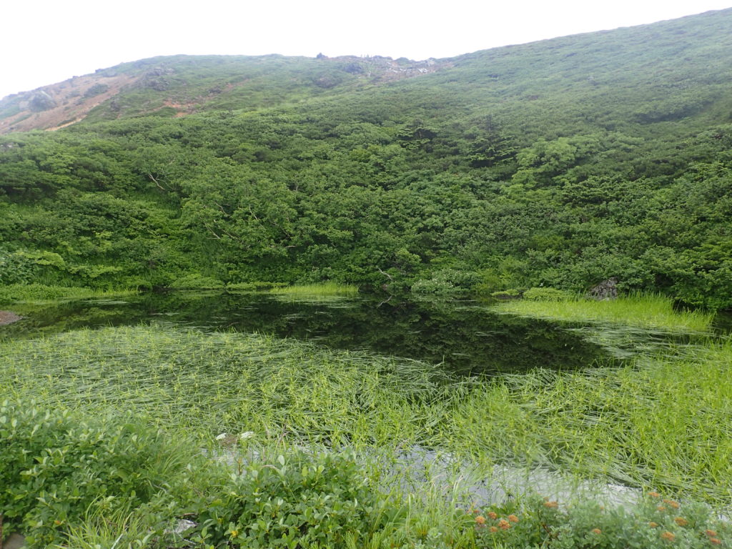 八甲田山の鏡沼