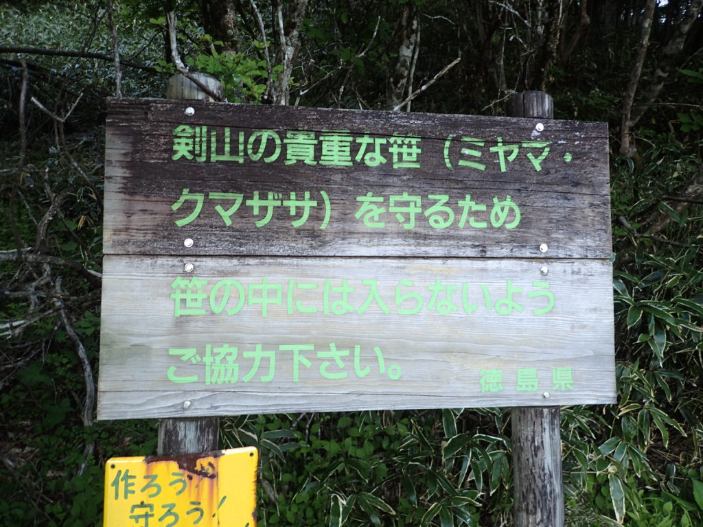 剣山にあるミヤマクマザサについての看板