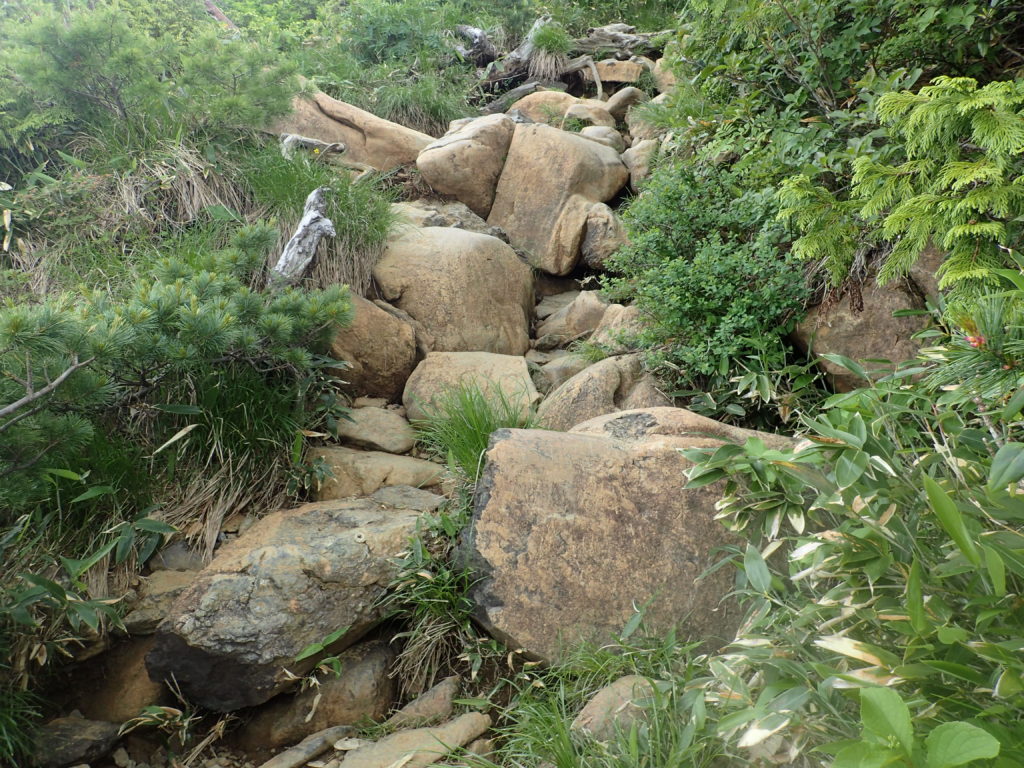至仏山の東面登山道の蛇紋岩