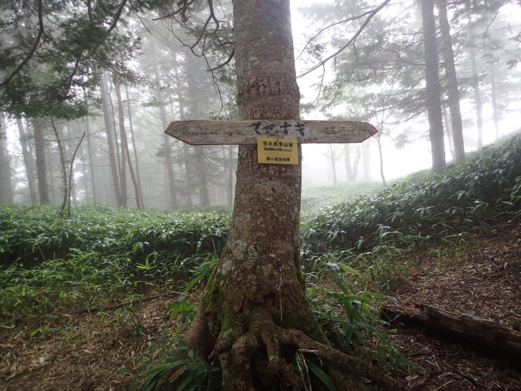空木岳登山道のマセナギ