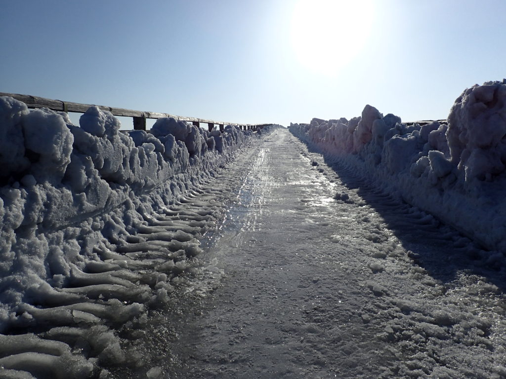 凍りついた美ヶ原高原の牧場の道