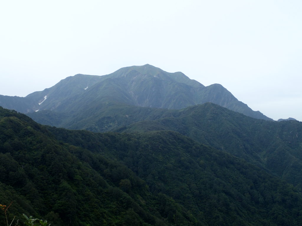 枝折峠ルートから見上げる越後駒ヶ岳山頂方面