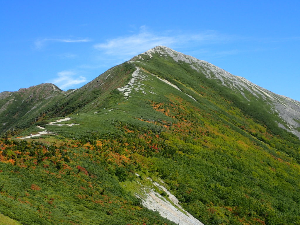 種池山荘側の稜線から見上げる爺ヶ岳南峰