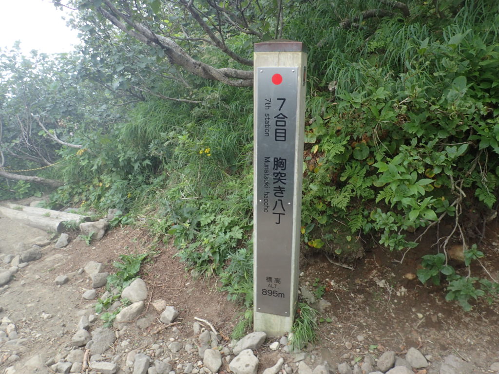 利尻山の鴛泊コース登山道の7合目胸突き八丁