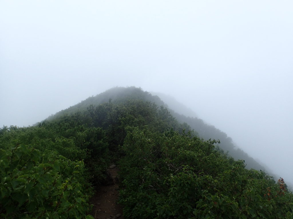 利尻山の鴛泊コース登山道