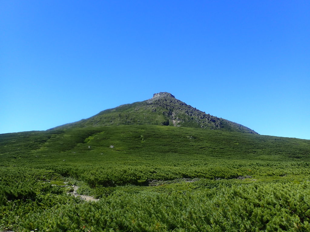 羅臼平付近から見た羅臼岳山頂
