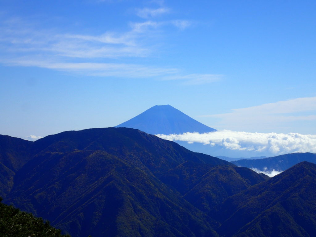 聖岳から見る富士山