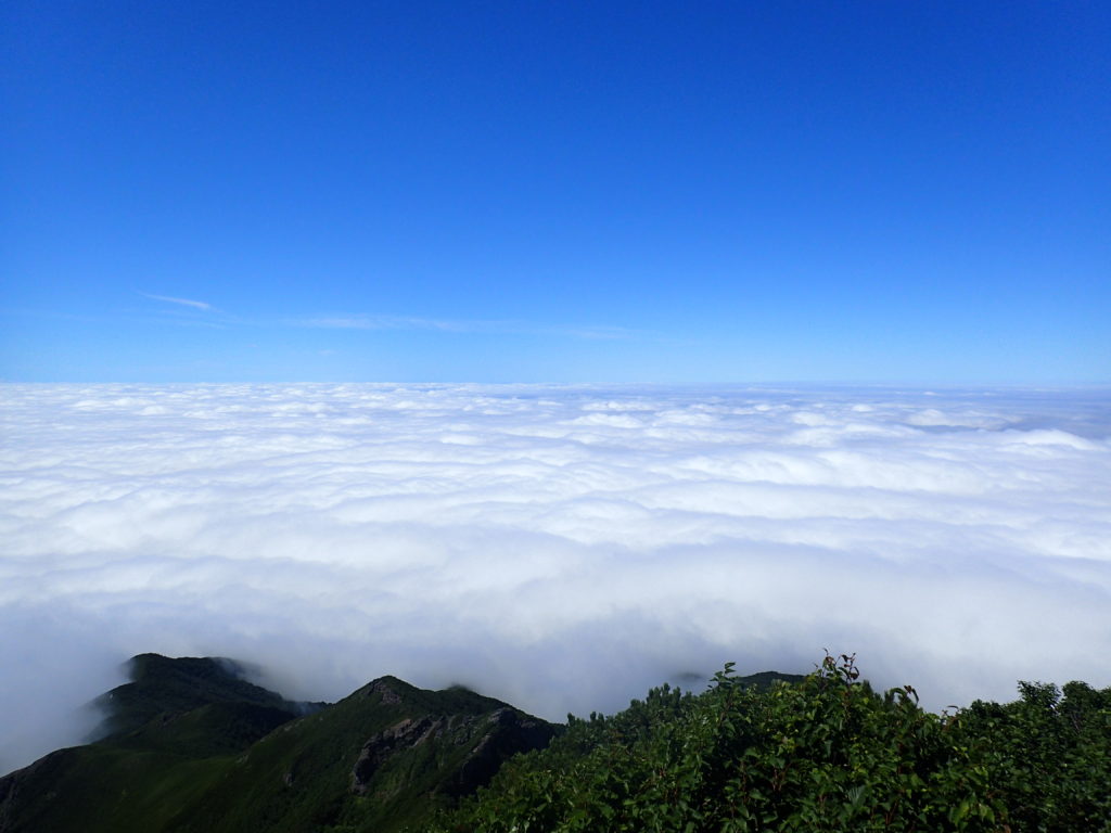 斜里岳山頂から見る雲海