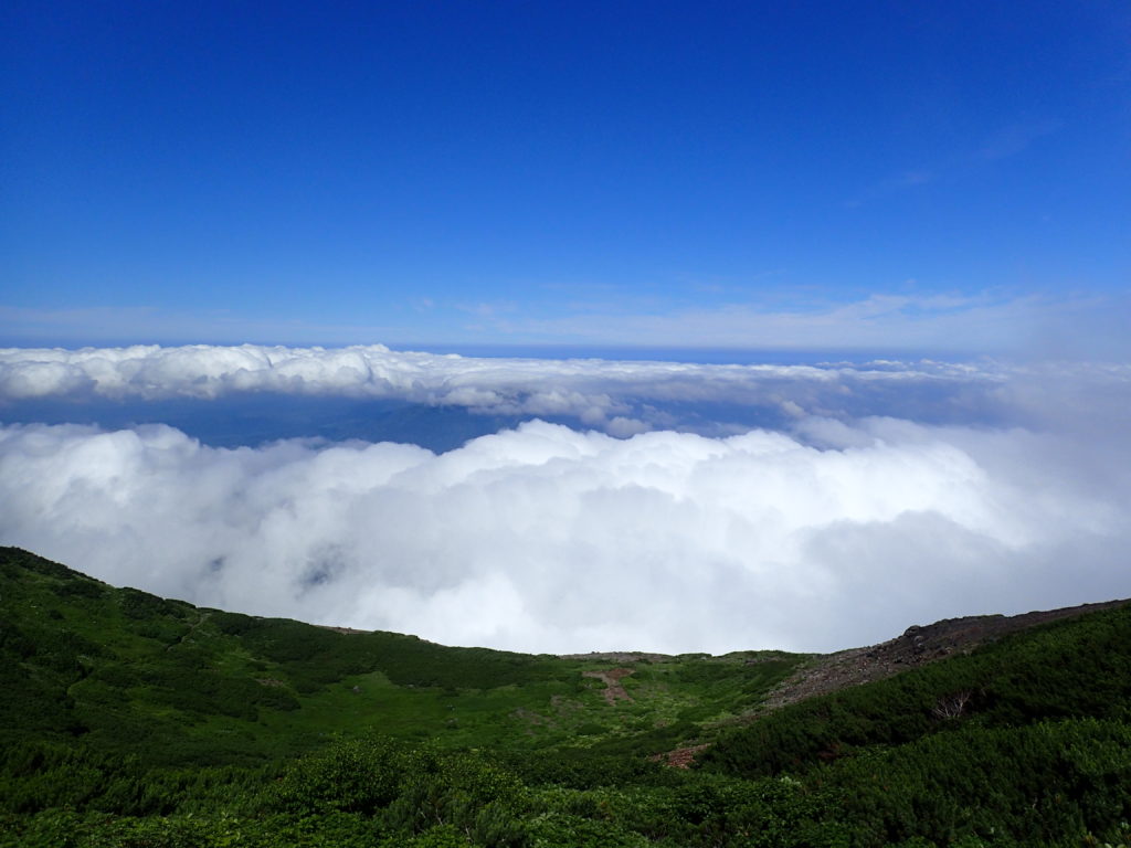 羊蹄山から見た雲海