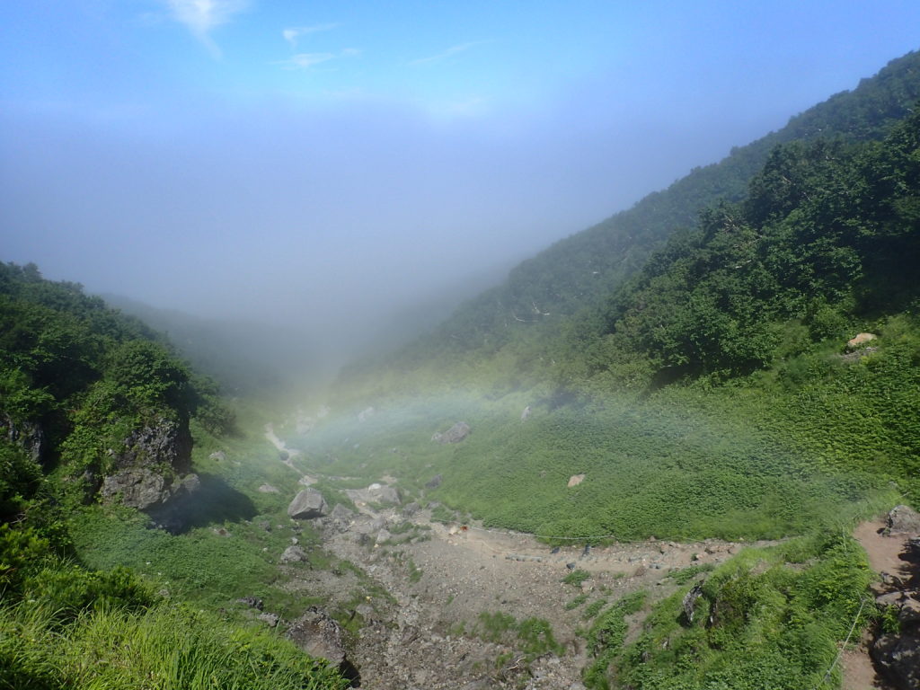 羅臼岳の岩尾別ルート登山道の虹