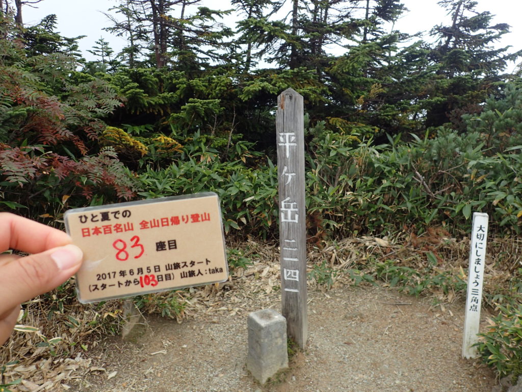 ひと夏での日本百名山全山日帰り登山で登った平ヶ岳の山頂で自作の登頂カードで記念写真