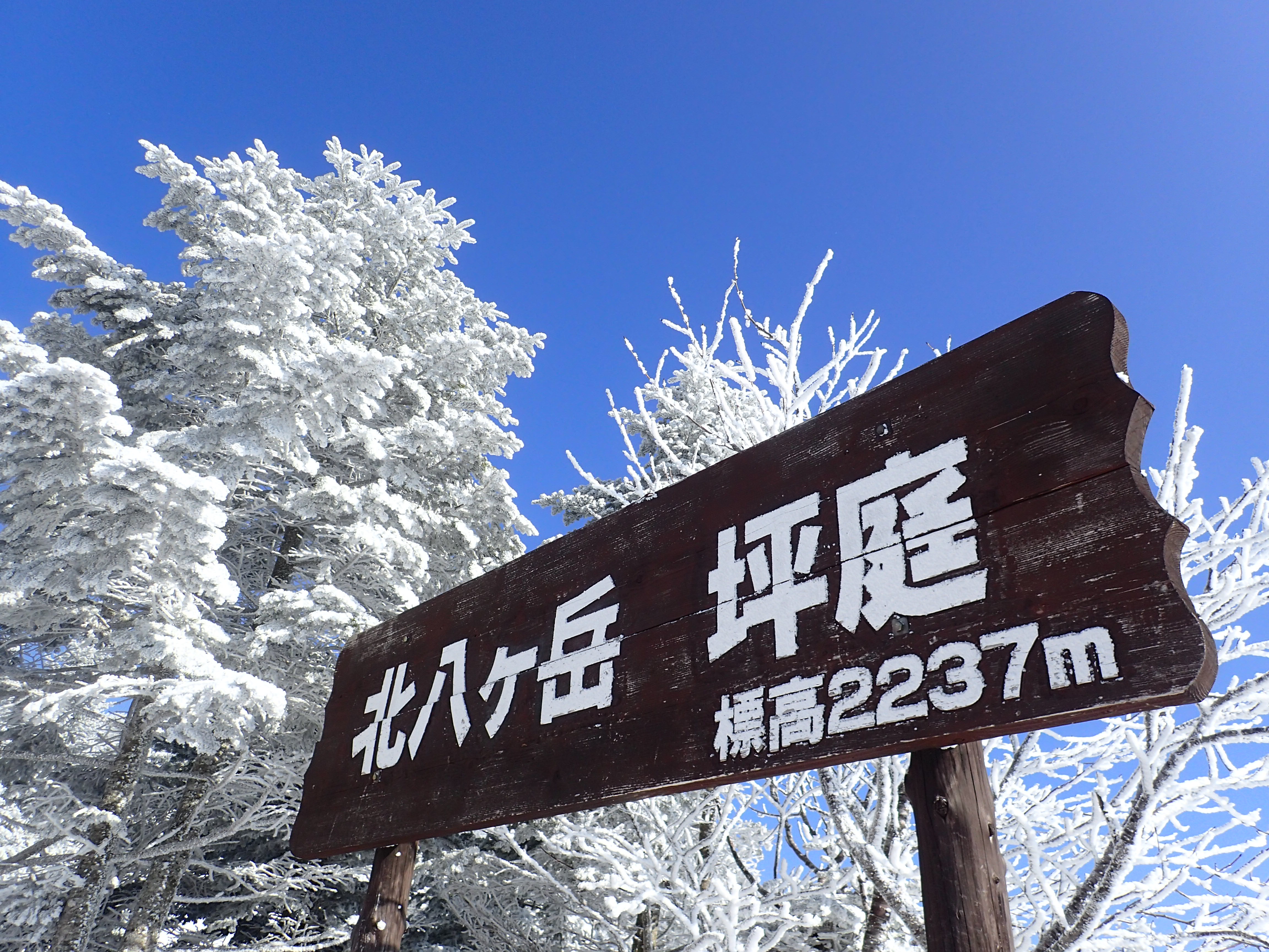 雪山登山入門におすすめの冬の北八ヶ岳の北横岳 山旅の記録 Record Of Mountain Journey