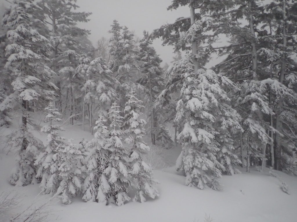 冬の北八ヶ岳登山の時にオリンパスの防水デジタルカメラタフで撮影したスノーモンスター