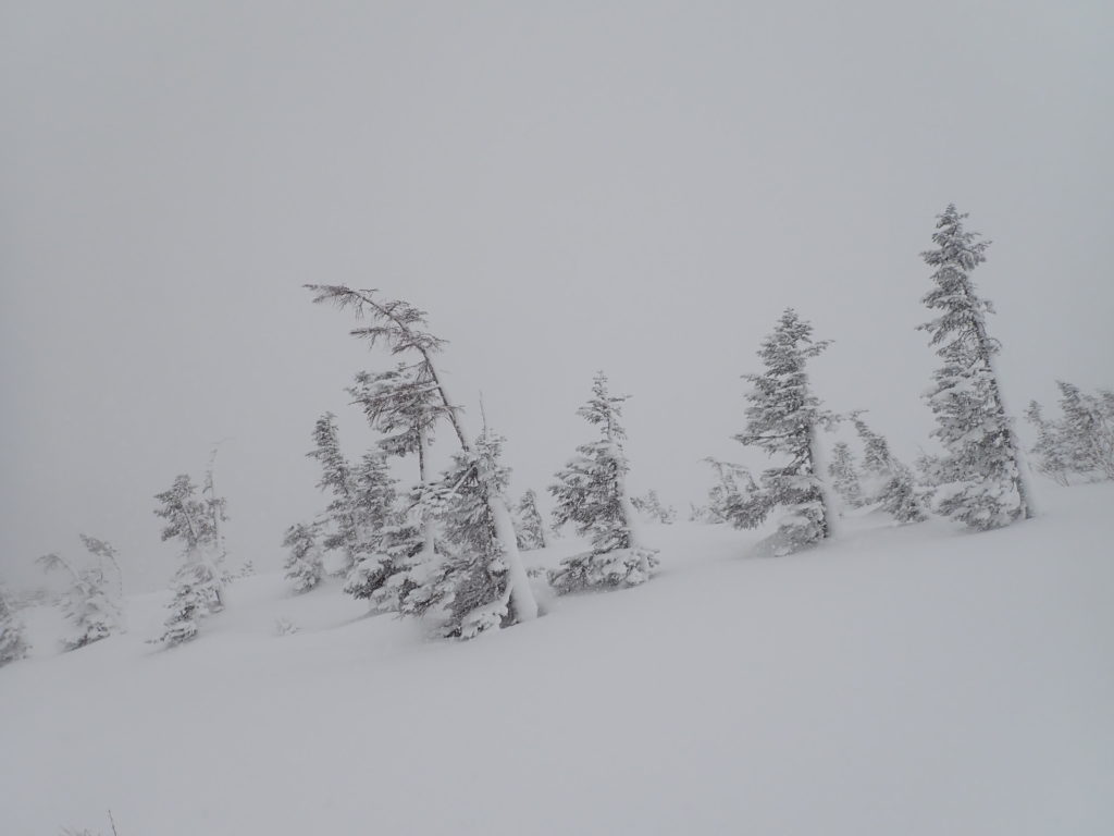 冬の北アルプス乗鞍岳登山の時に撮影したモノクロの世界
