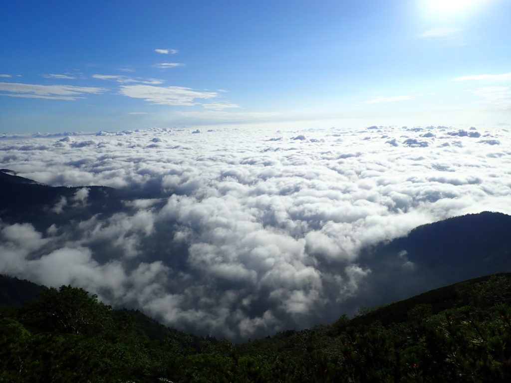 北アルプスの蝶ヶ岳登山をした時に撮影した青空と雲海