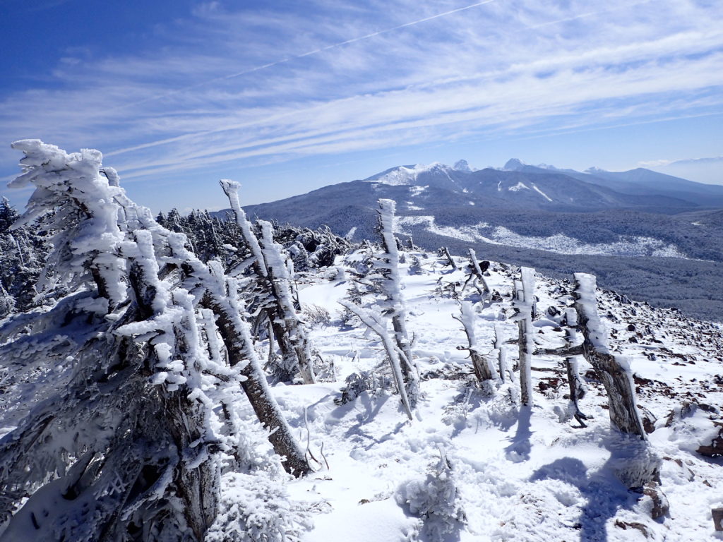 冬の北八ヶ岳登山の時に撮影した雪化粧をしたエビのしっぽの向こうの南八ヶ岳