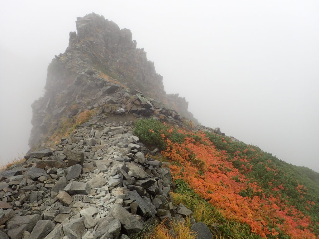 西穂高登山の時にオリンパスの防水デジタルカメラタフで撮影した稜線と紅葉