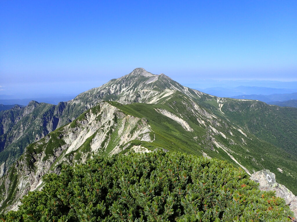 北アルプスの笠ヶ岳登山をした時に撮影したハイマツと笠ヶ岳へと続く稜線