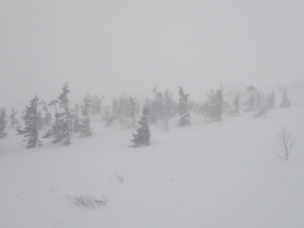 乗鞍岳登山をした時に撮影した凍り付いたホワイトアウトした雪原